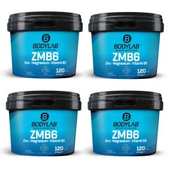 4 x ZMB6 - Zinc - Magnesium - Vitamin B6 (elk 120 capsules)