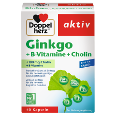 Ginkgo + Vitamin B + Cholin (40 Kapseln)