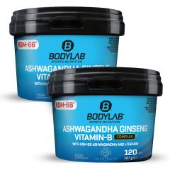 2 x Ashwagandha Ginseng Vitamin-B Complex (120 Kapseln)
