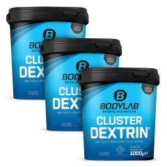 3 x Cluster Dextrin - 100% highly branched cyclic Dextrin (1000g)
