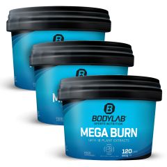 3 x Mega Burn (120 capsules)