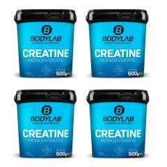 4 x Creatine Powder (500g)