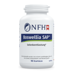 Boswellia SAP (90 Kapseln)