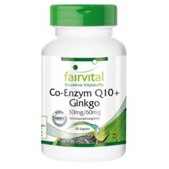 Co-Enzym Q10 + Ginkgo (90 Kapseln)