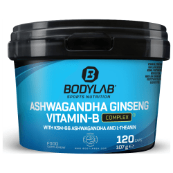 Ashwagandha Ginseng Vitamine B-complex (120 capsules)