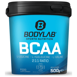 BCAA Powder (500g)