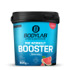 Pre Workout Booster (300g)