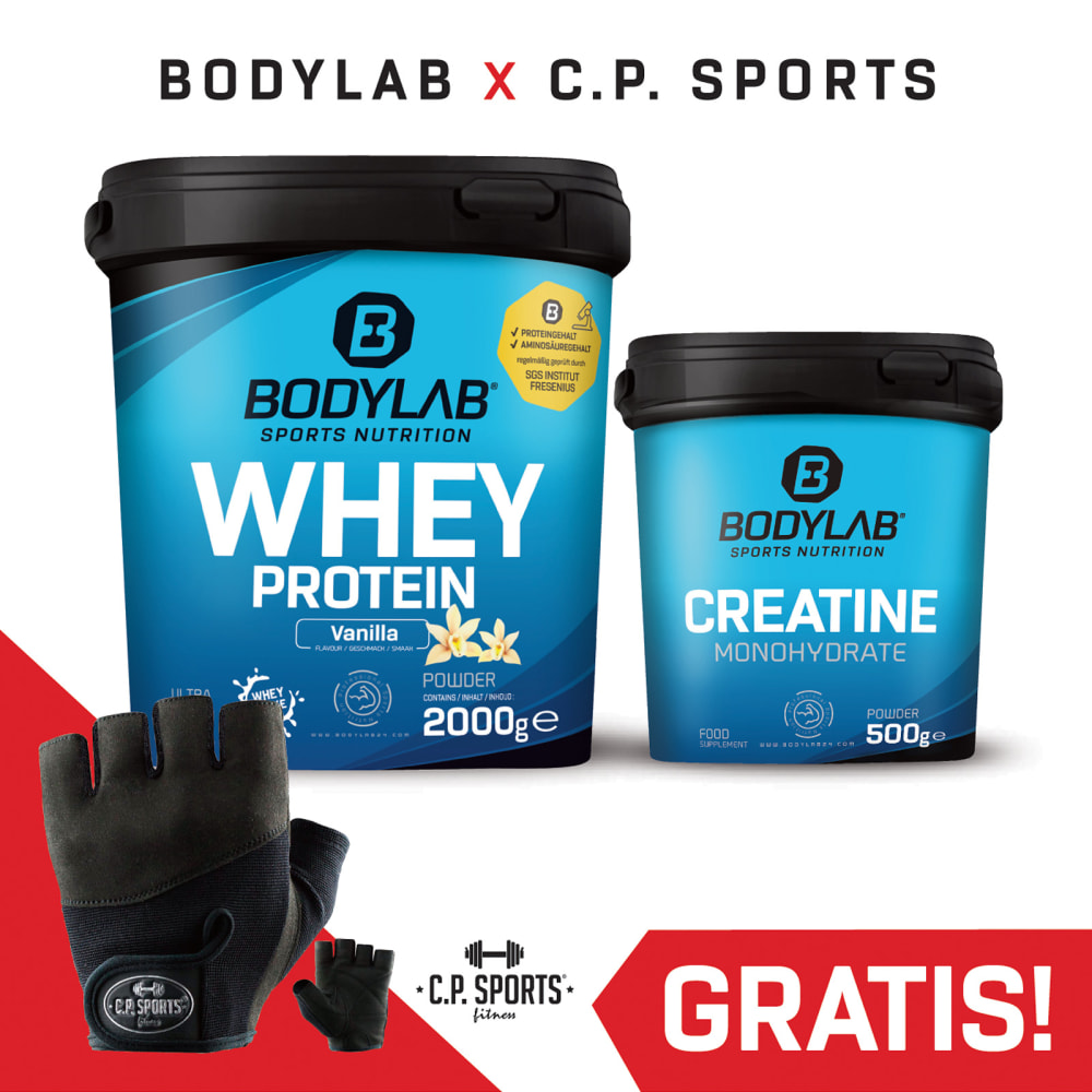 Bodylab24 Creatine Protein Deal + handschoenen