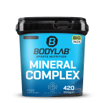 BIG PACK Mineral complex  (420 Kapseln)