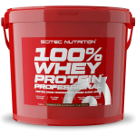 100% Whey Protein Professional (5000g)