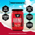 Amino X BCAA (435g)