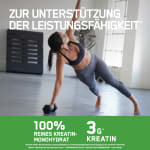 Micronized Creatine Powder (317g)