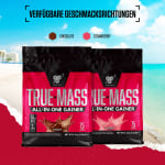 True Mass All In One Weight Gainer (4200g)