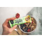 Vegan Protein Layer (15x55g)