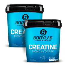 2 x Creatine Powder (500g)