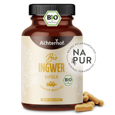Ingwer Kapseln Bio (160 Kapseln)