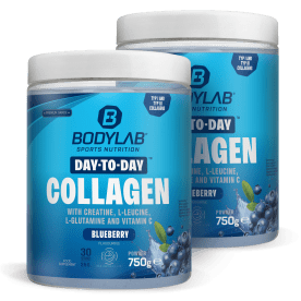 2 x Day to Day Collagen (2 x 750g) 
