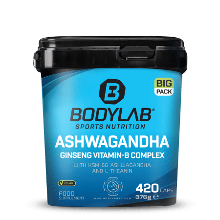 BIG PACK Ashwagandha Ginseng Vitamin-B Complex (420 Kapseln)
