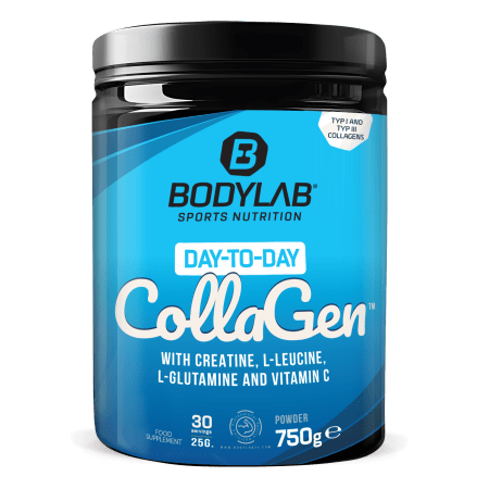 Day to Day Collagen (750g) 