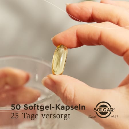 Omega-3 Fischöl hochdosiert (100 Kapseln)