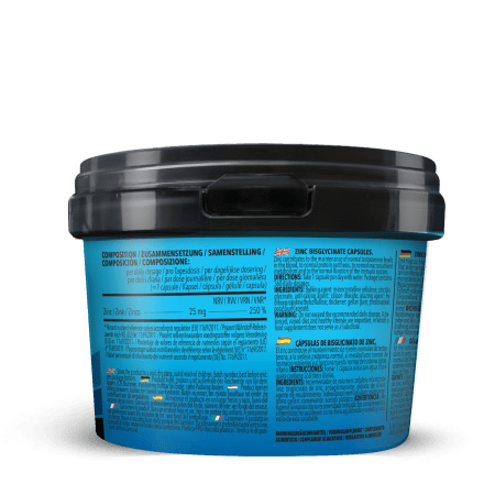 BIG PACK Zinc Bisglycinat (360 Kapseln)