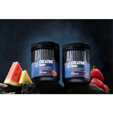 Animal Creatine HMB+ (330g)