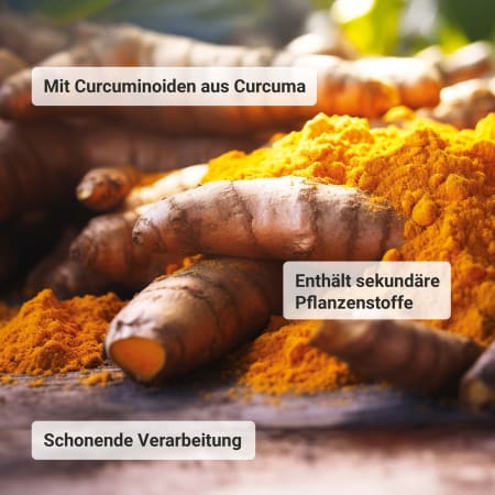 Curcuma Forte Organic (90 capsules)