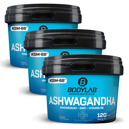 Verpakking van 3 stuks Ashwagandha + Magnesium - Zinc - Vitamin B6 (elk 120 capsules)