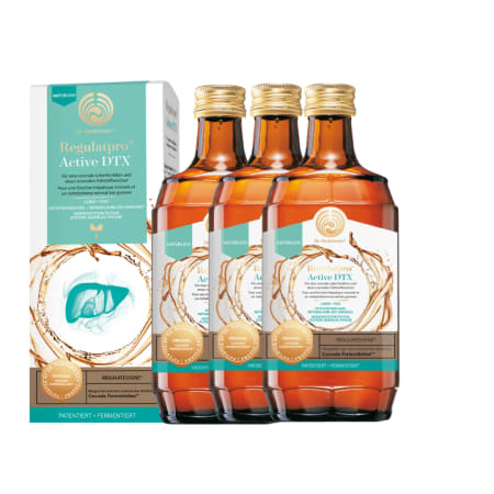 3x Dr. Niedermaier Regulatpro® Active DTX (3x350ml)