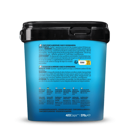 BIG PACK Ashwagandha Ginseng Vitamin-B Complex (420 Kapseln)