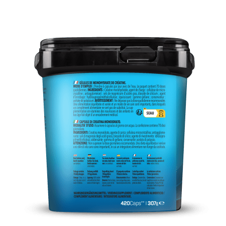 BIG PACK Creatine Monohydrate (420 Kapseln)