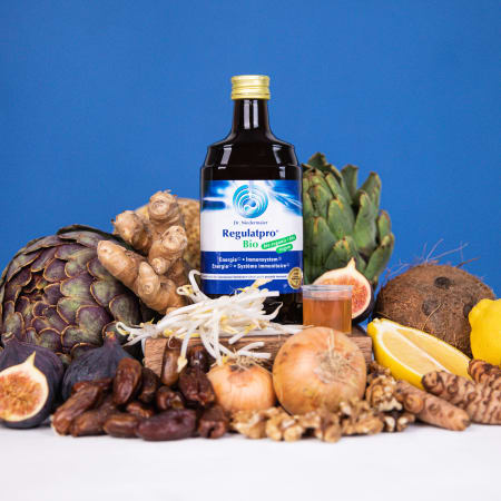 Dr. Niedermaier Regulatpro Bio (350ml)