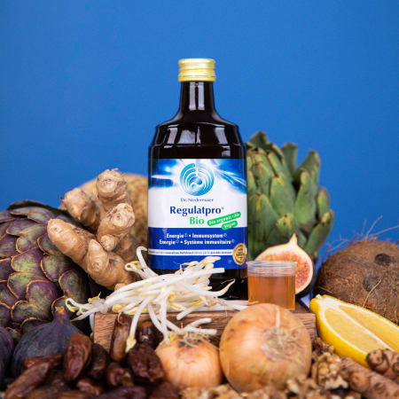 Dr. Niedermaier Regulatpro Bio (350ml)