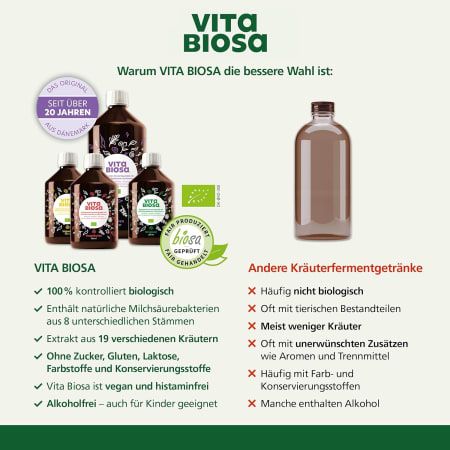 Vita Biosa Ingwer + Vitamin C bio (3000ml)