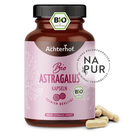 Bio Astragalus Kapseln (180 Kapseln)
