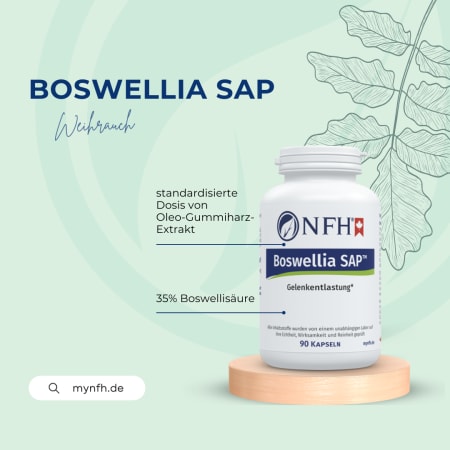 Boswellia SAP (90 Kapseln)