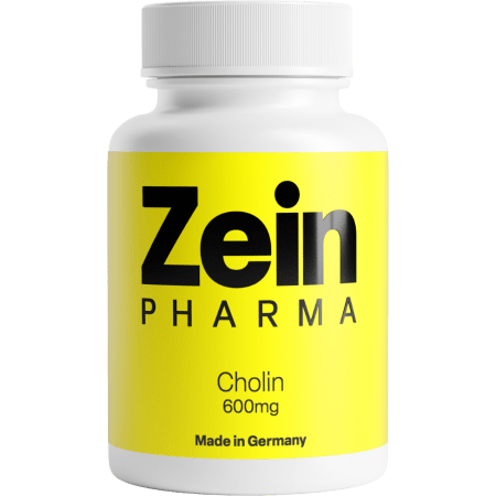Cholin Kapseln 600mg (60 Kapseln)
