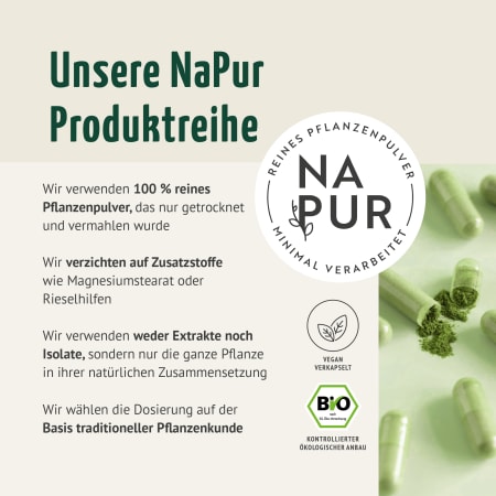 Gerstengras Kapseln Bio (180 Kapseln)