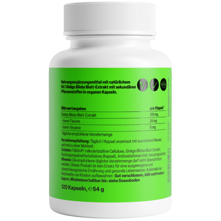 Ginkgo Biloba 100mg (120 Kapseln)