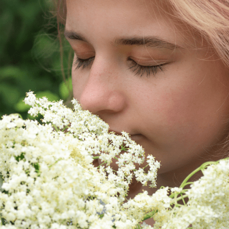 Holunderblüten geschnitten Bio (100g)
