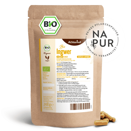 Ingwer Kapseln Bio Nachfüllpack (400 Kapseln)