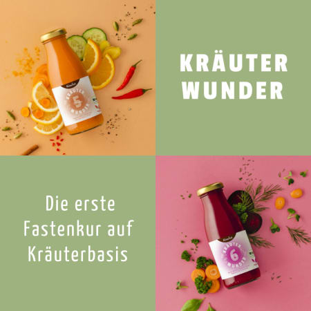 Kräuterwunder 1-Tages-Fastenkur Bio (6 Fl.)