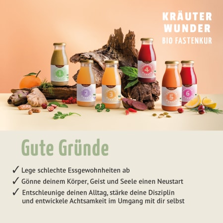 Kräuterwunder Bio Fastenkur 1 Tag (6 Flaschen)