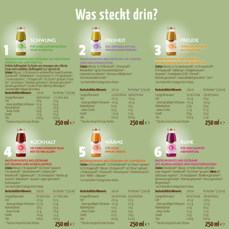 Kräuterwunder Bio Fastenkur 1 Tag (6 Flaschen)