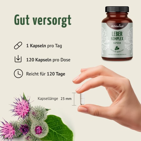 Leber Komplex Kapseln (120 Kapseln)