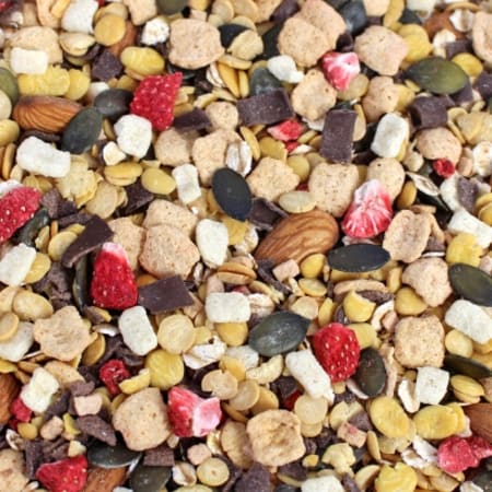 Müsli CARBS 19.0 - 500g - Erdbeere