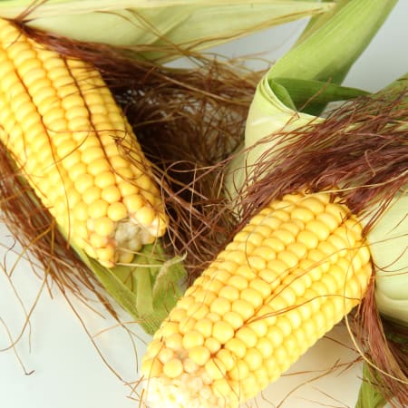 Maisbart geschnitten (250g)