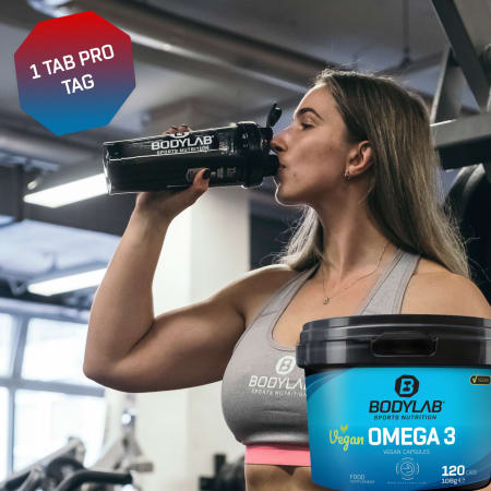 3 x Vegan Omega 3 (120 capsules)
