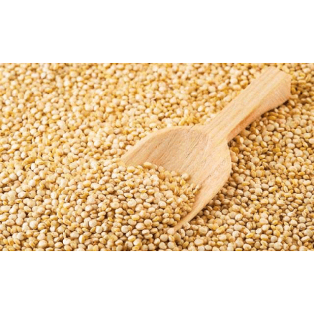 Quinoa weiß (2x1000g)