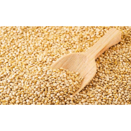 Bio Quinoa in premium quality (1000g)